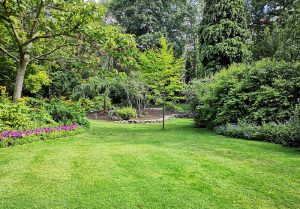 Optimiser l'expérience du jardin à Dossenheim-Kochersberg